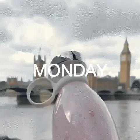Thumbnail 24
